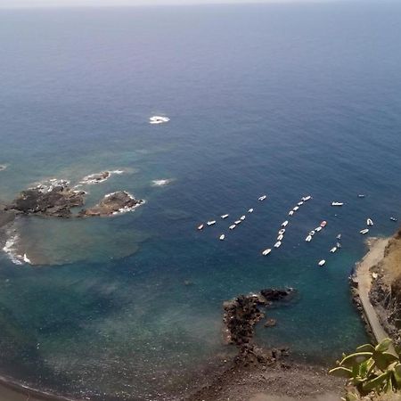 Carnaval A Tenerife La Laguna  Dış mekan fotoğraf